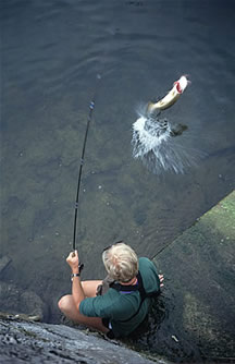 fliegenfischen_an_der_traun_5